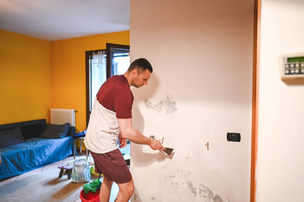 Best Health and Safety Mold Remediation in Osawatomie, KS